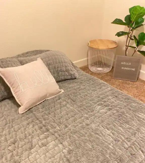 Dream Family Home In South Reno 4 Bed 30 Min To Lake Tahoe Ngoại thất bức ảnh